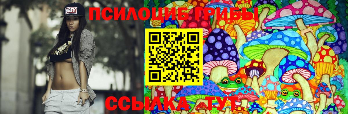 Галлюциногенные грибы GOLDEN TEACHER Котлас