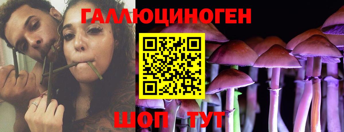 Котлас  Галлюциногенные грибы GOLDEN TEACHER  Галлюциногенные грибы мицелий  Вход с VPN 